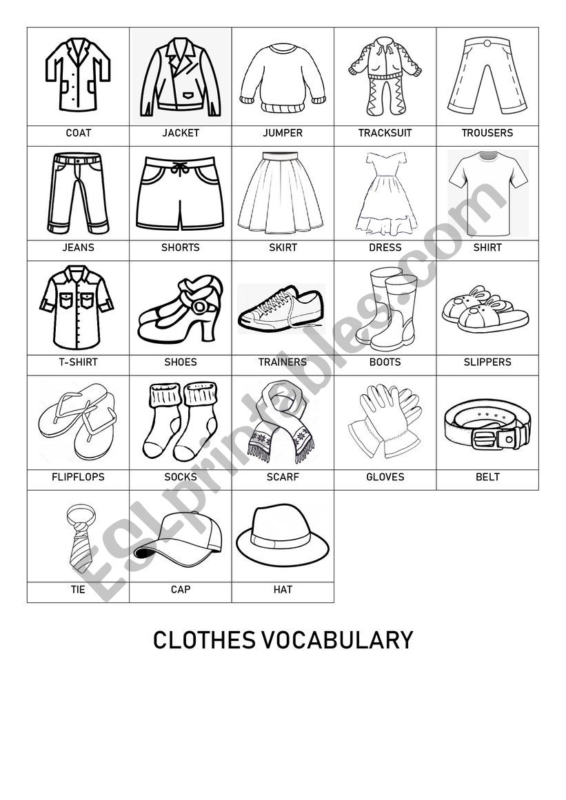 Clothes Vocabulary worksheet