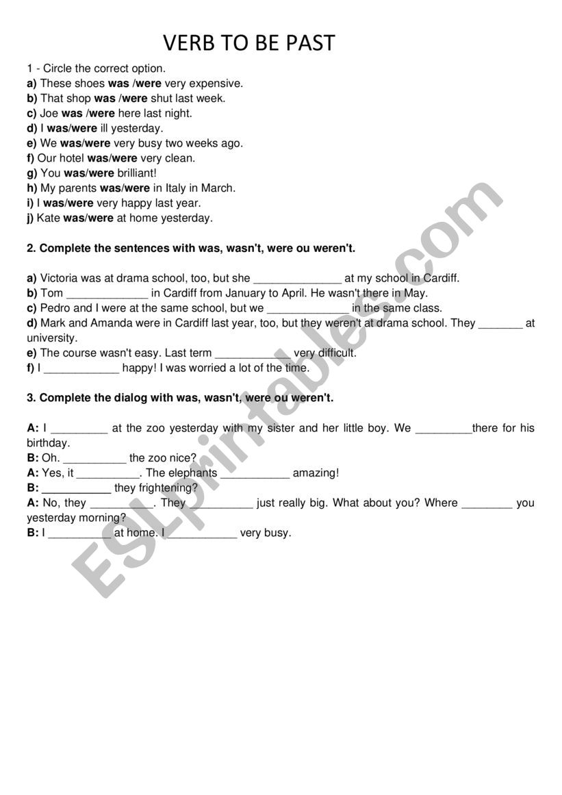 Verb To Be - Past worksheet