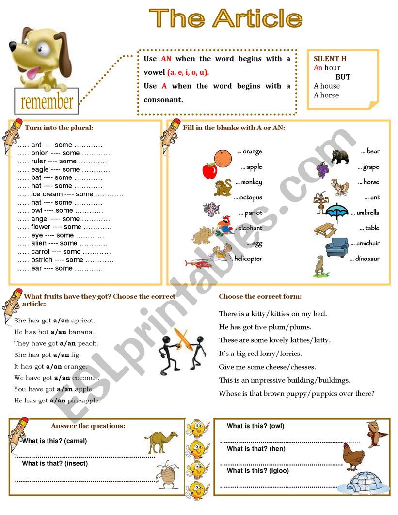 The Indefinite Article worksheet