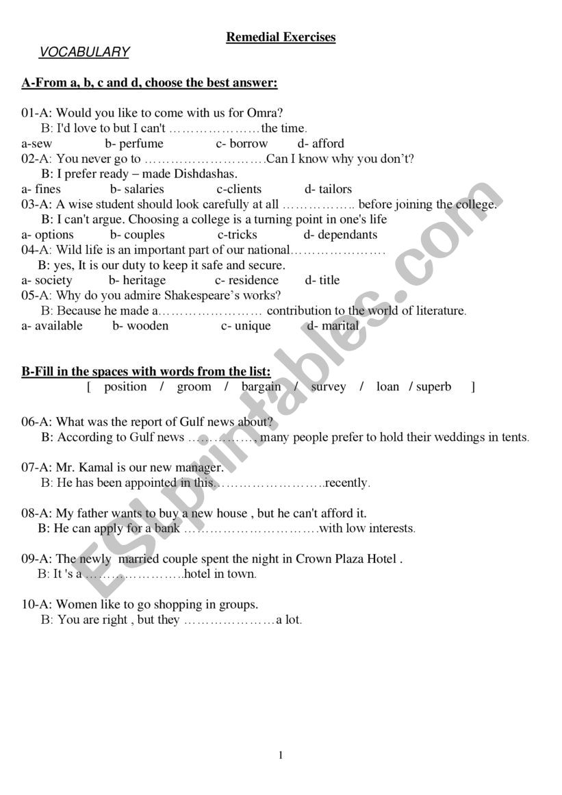 Vocabulary worksheet