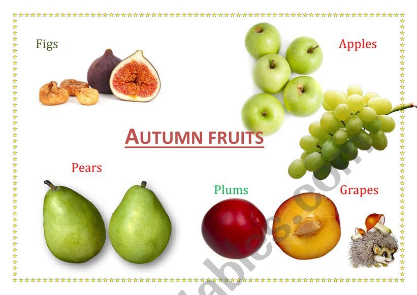 Autumn Fruits worksheet