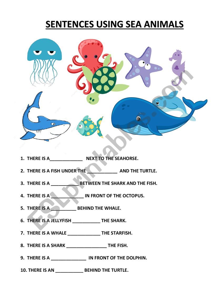 SEA ANIMALS AND PREPOSITIONS worksheet