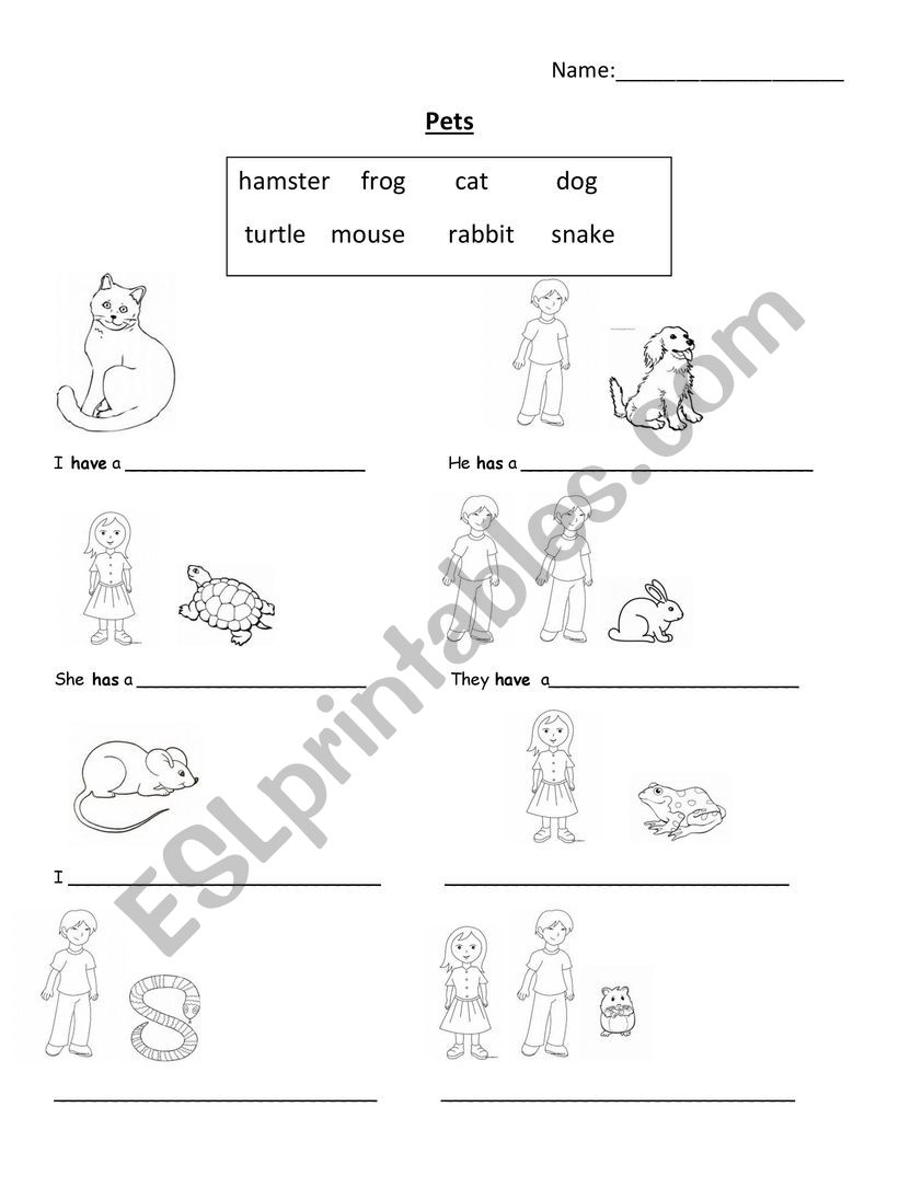 I have a pet worksheet