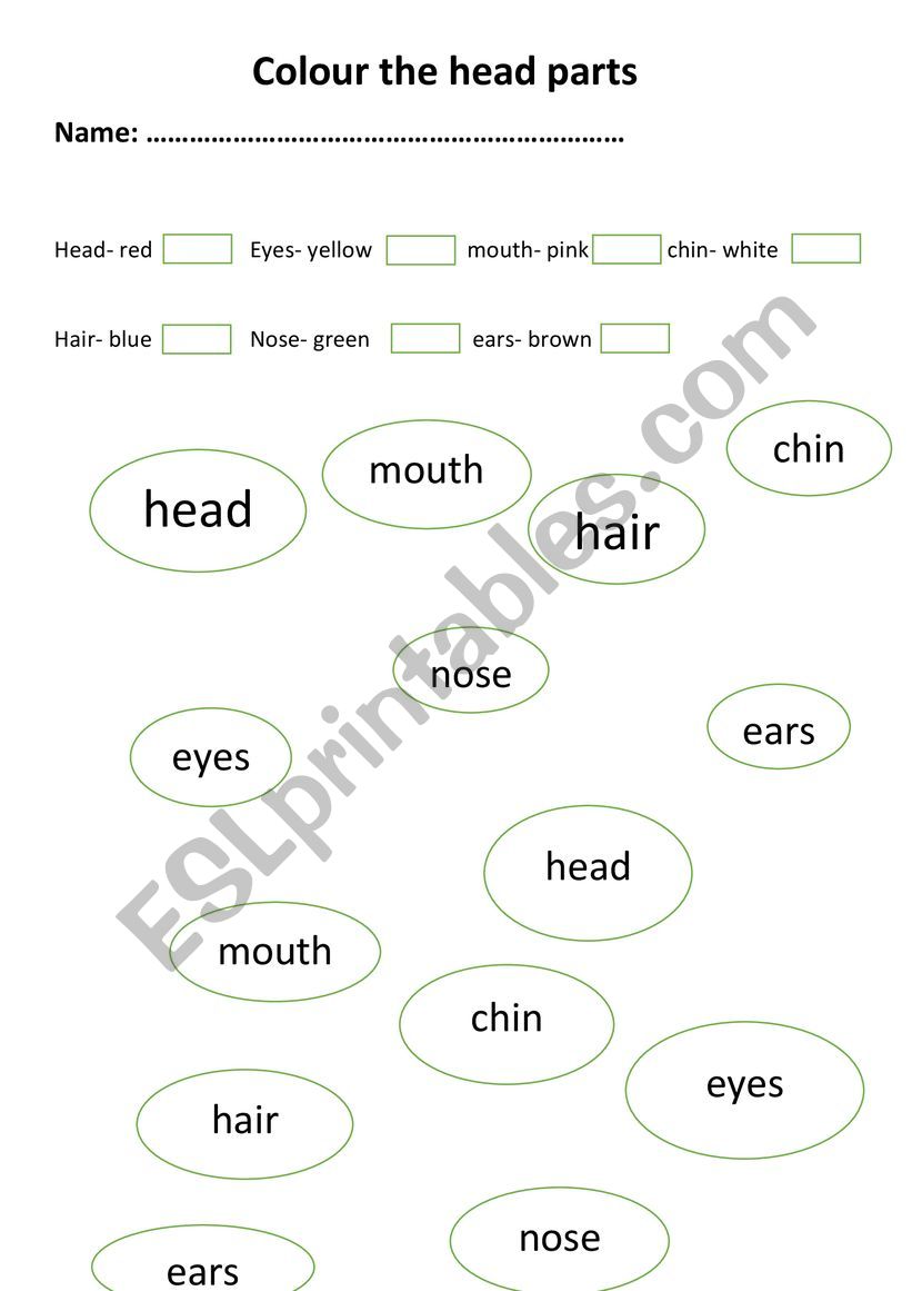 Colours and head parts worksheet
