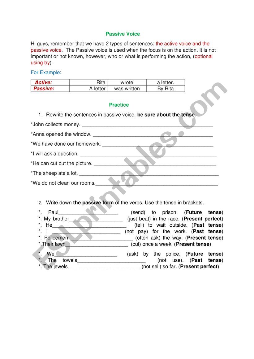 passive voice  worksheet