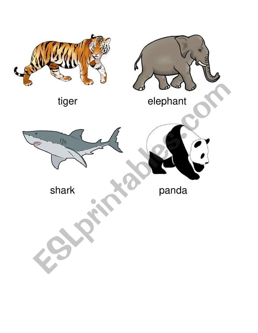 Animals worksheet