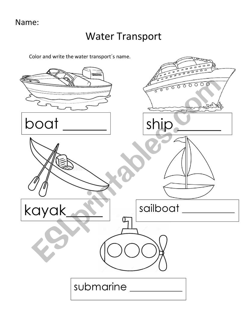 Water Transport worksheet
