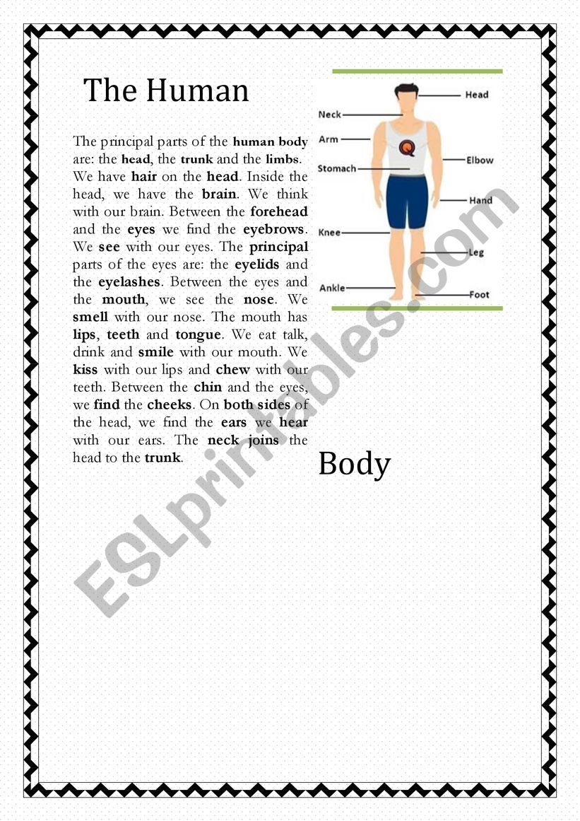a-human-body-worksheet-esl-worksheet-by-an-bogomol