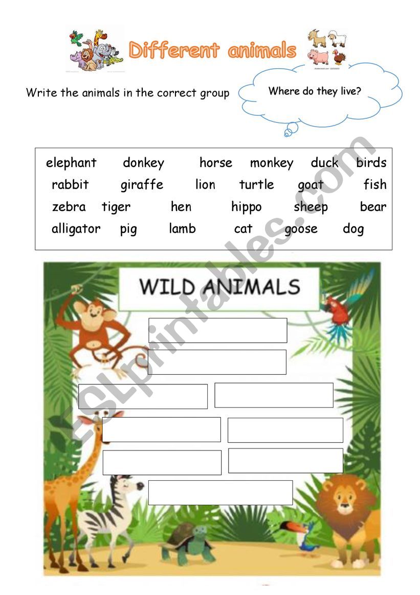 Different Animals Live In Different Places ESL Worksheet By Kaira YU