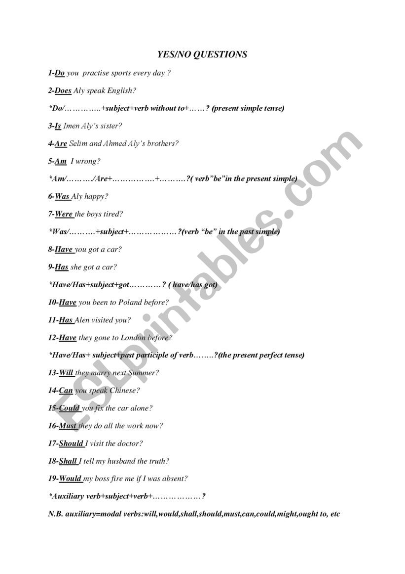 yes/no questions  worksheet