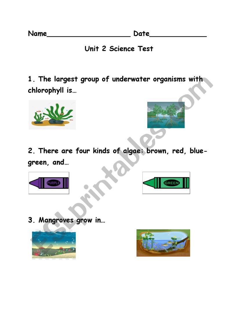 Water Life Science Unit Test worksheet