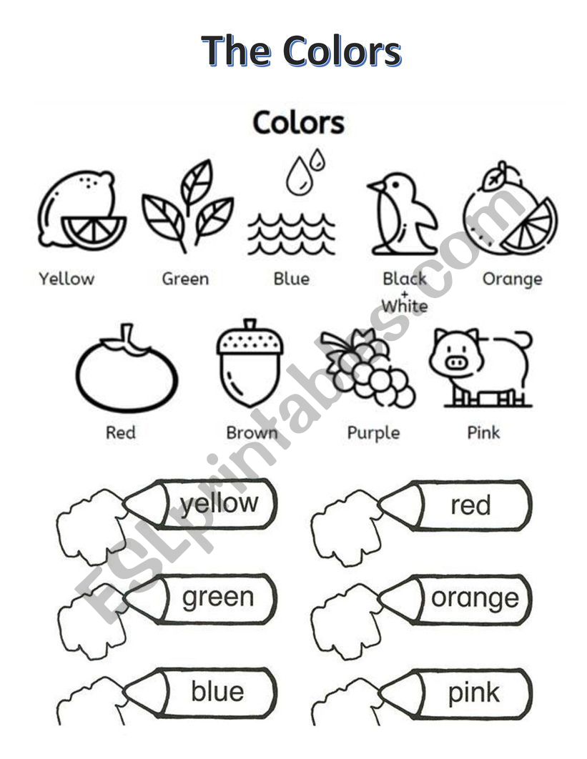 The Colors  worksheet