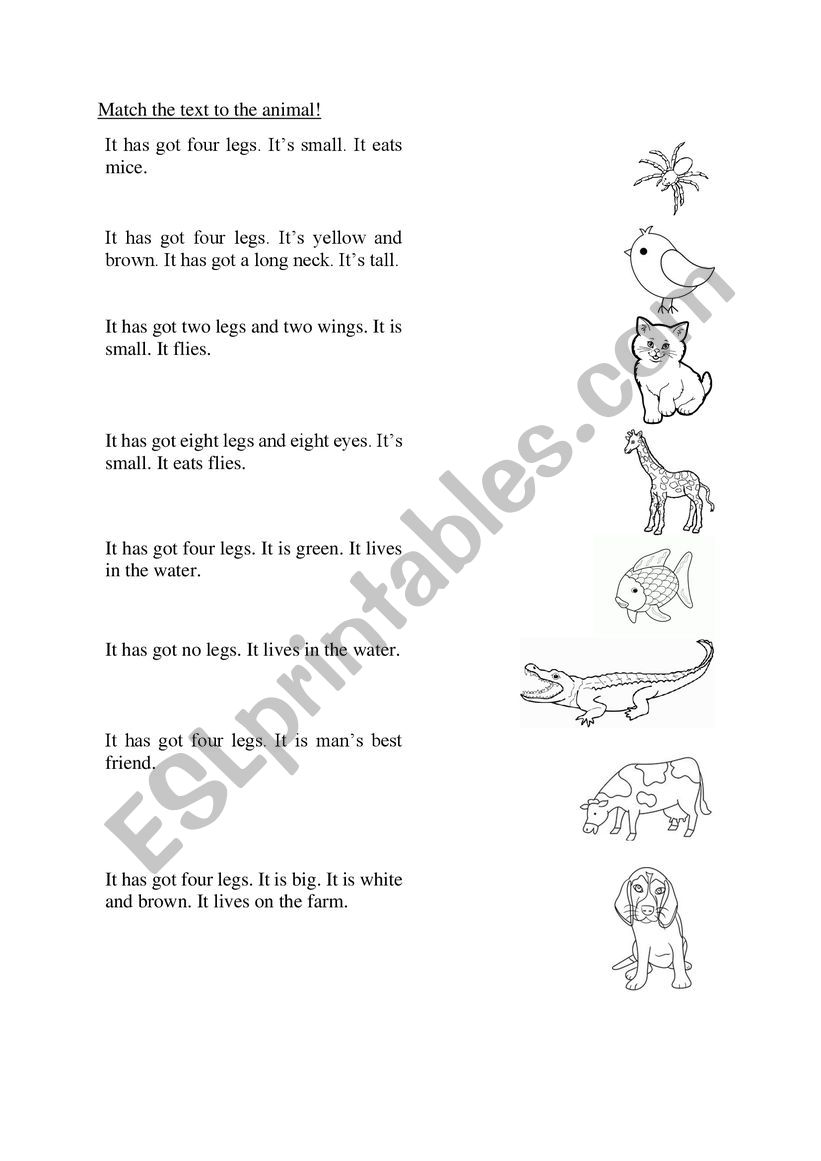 Animal and Description  worksheet