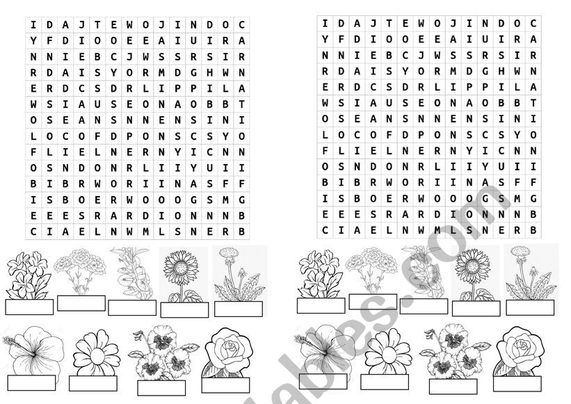 Spring flowers wordsearch worksheet