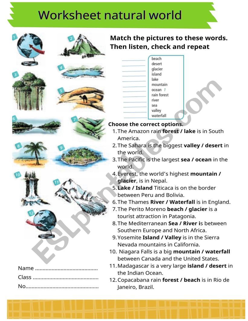 Natural world vocabulary worksheet