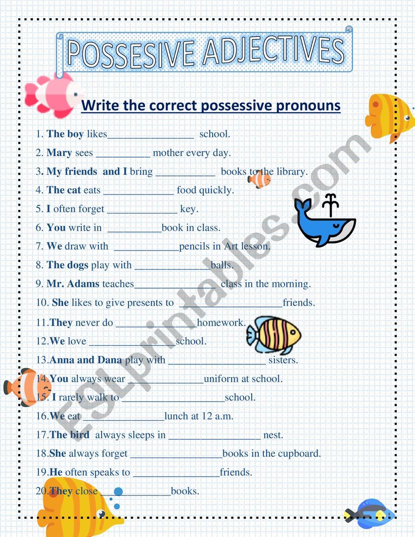 Possessive Adjectives worksheet