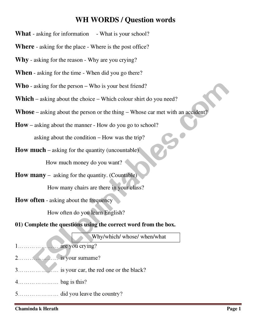 Interrogatives worksheet