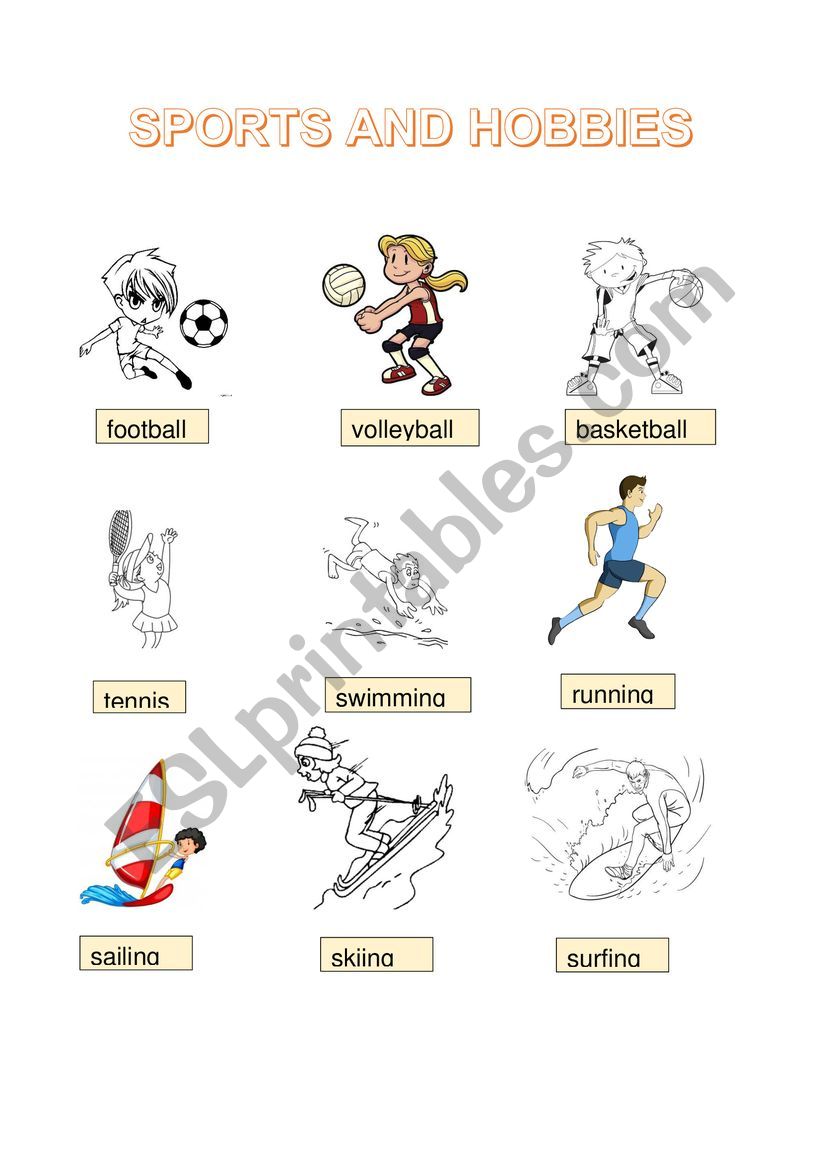 Sports and hobbies worksheet