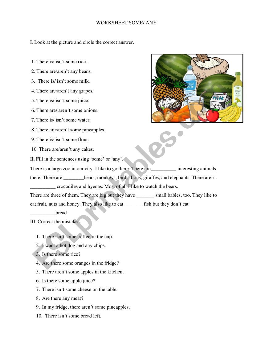 worksheet some and any worksheet