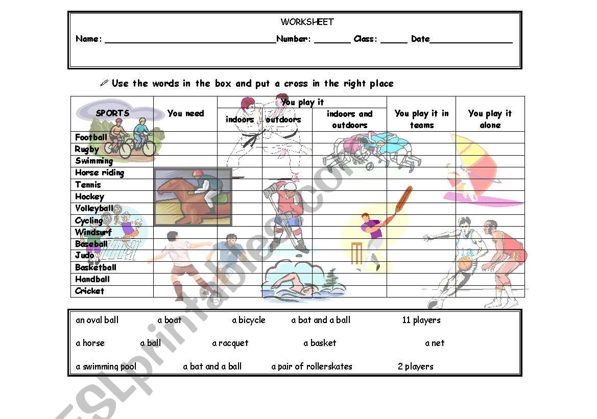 Sports worksheet