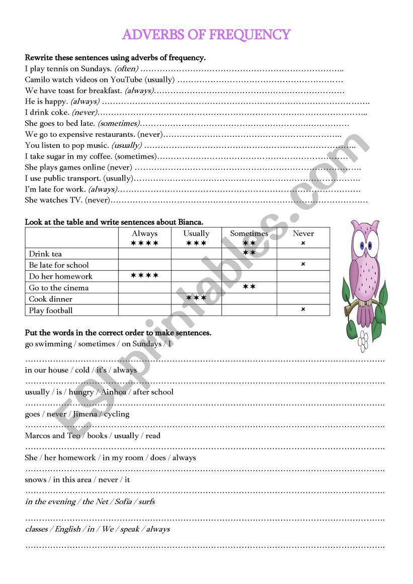 Adverbs of frequency worksheet