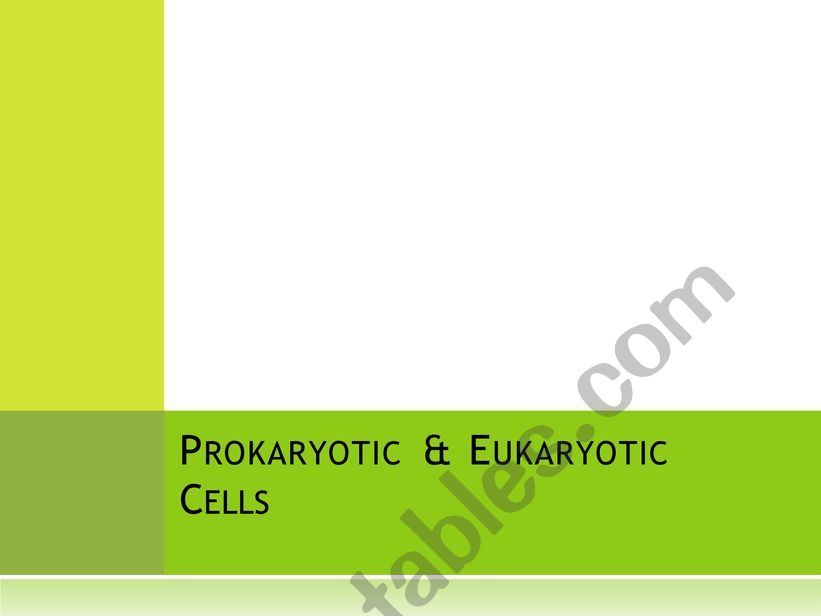 english-worksheets-types-of-cells