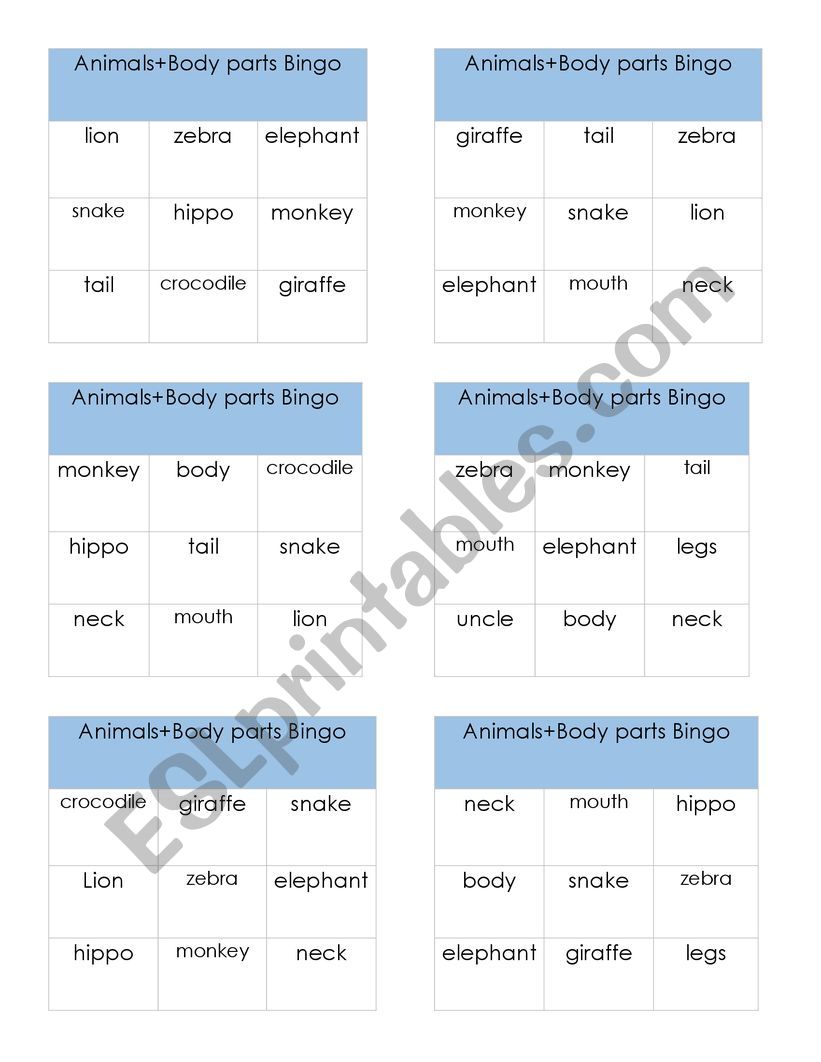 Animals+bodyparts worksheet