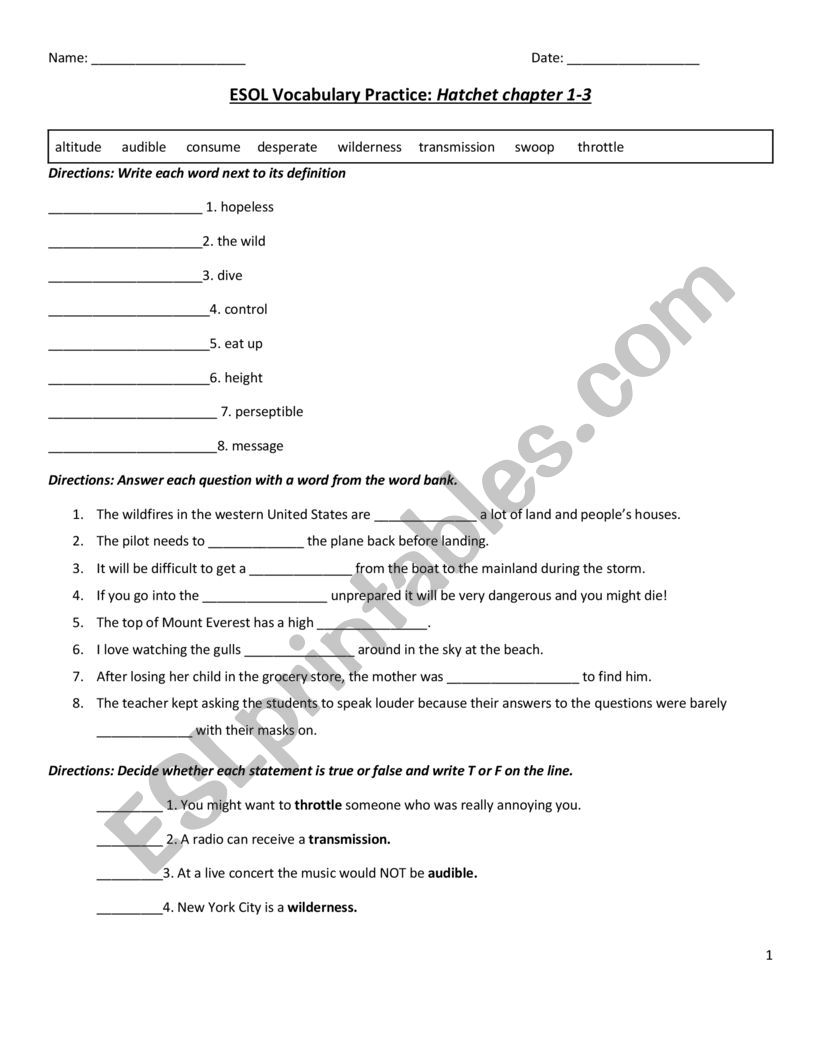 Hatchet book vocabulary practice chapters 1-3