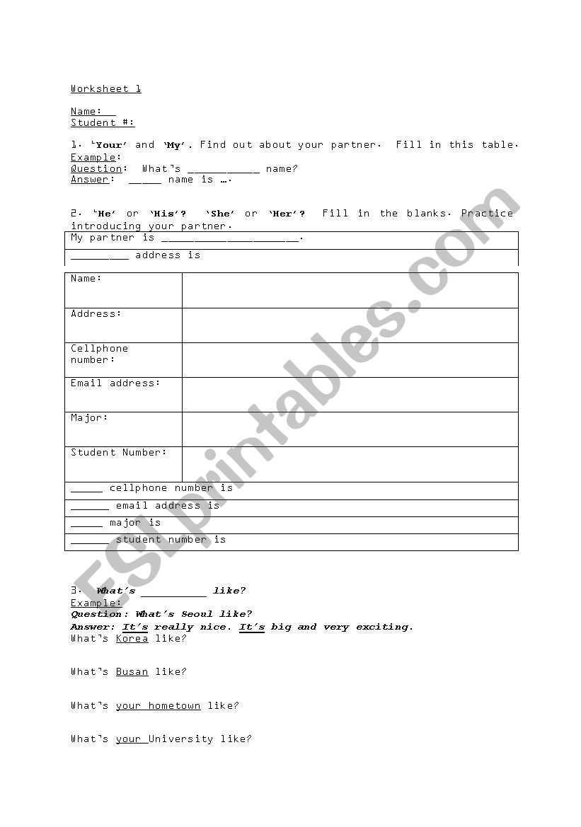 Pronouns Worksheet worksheet