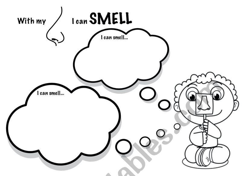 5 senses: smell worksheet