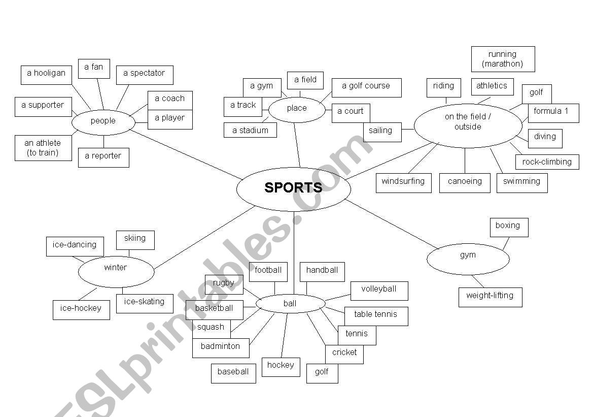 Vocabulary sports worksheet