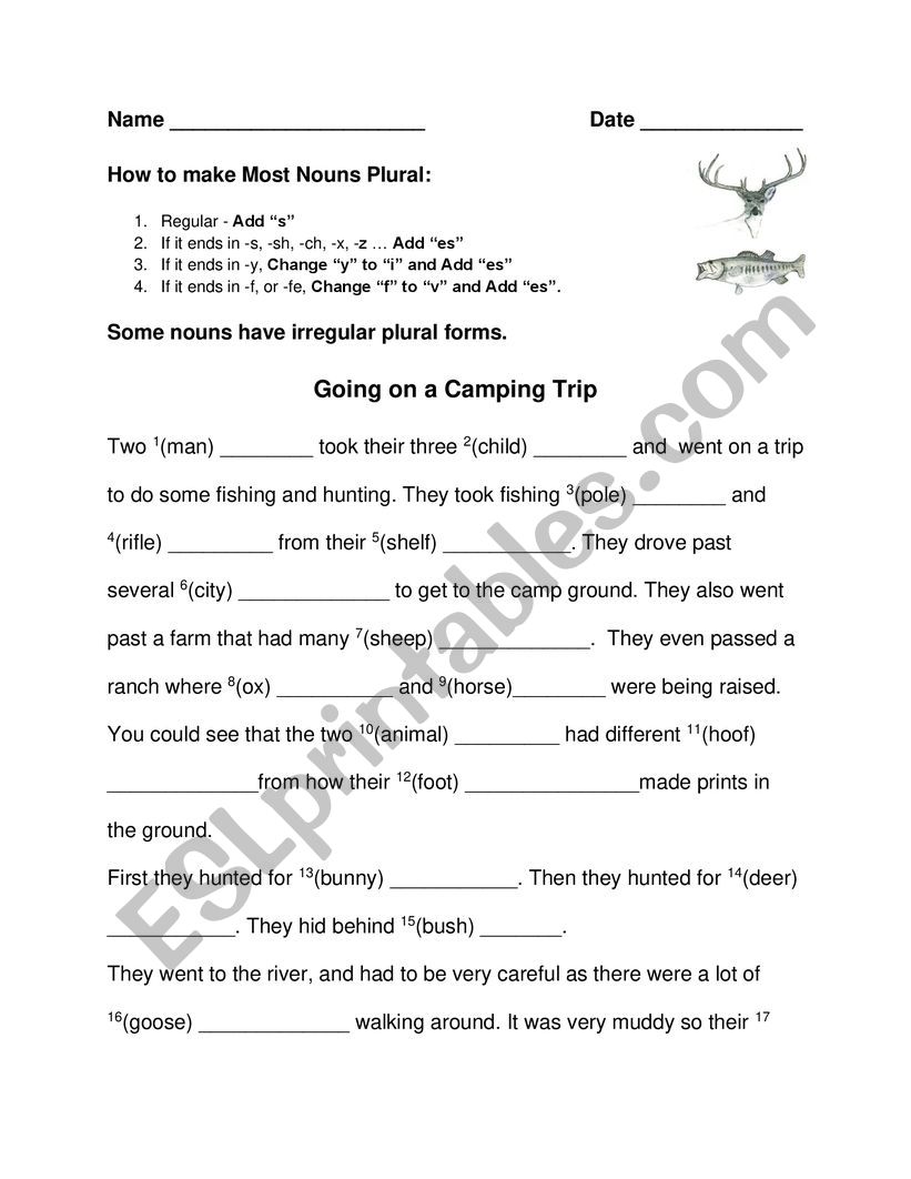 Going on a Camping Trip worksheet