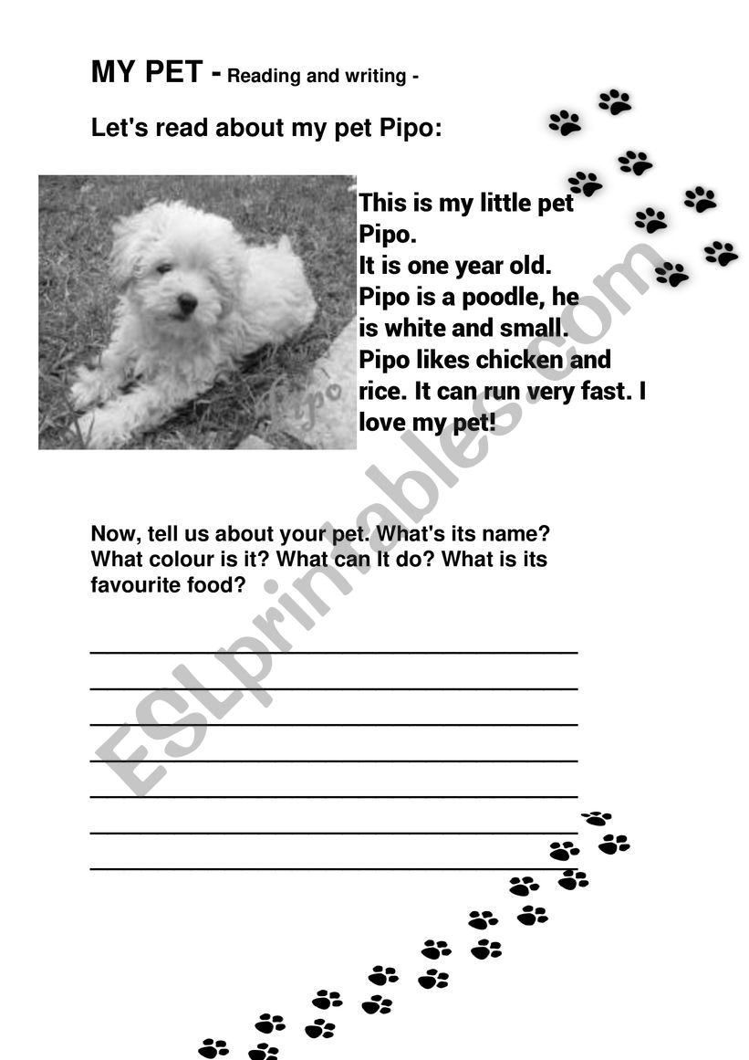 MY PET  worksheet