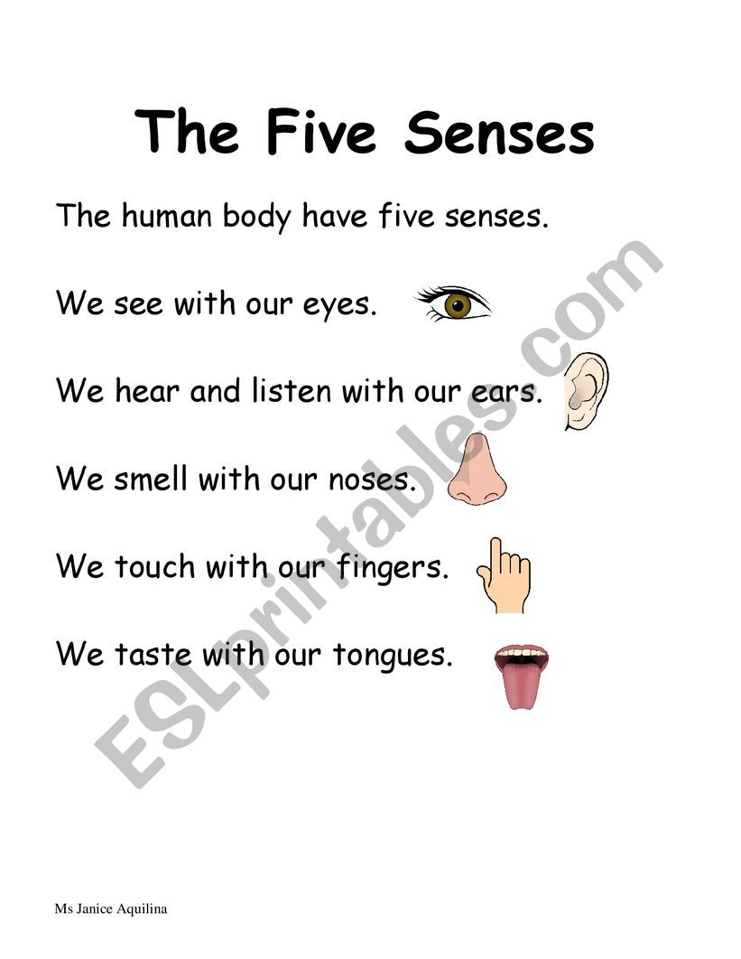 Five senses worksheet