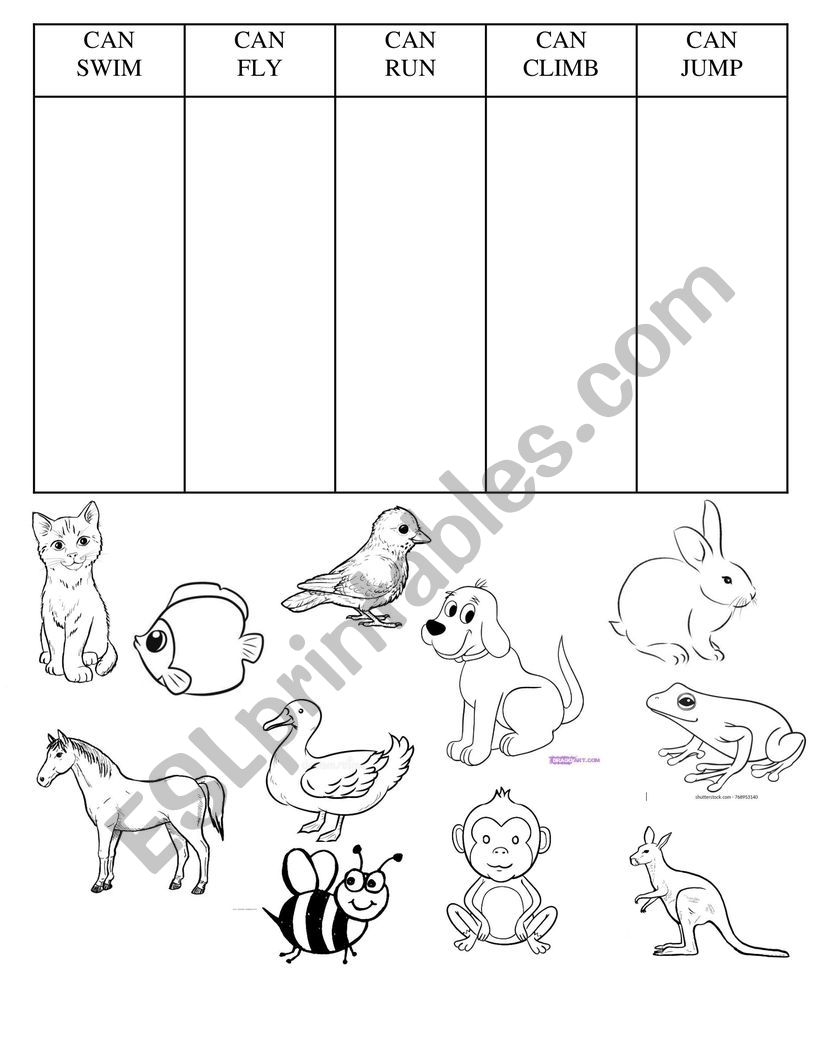 what-can-animals-do-esl-worksheet-by-ney-g