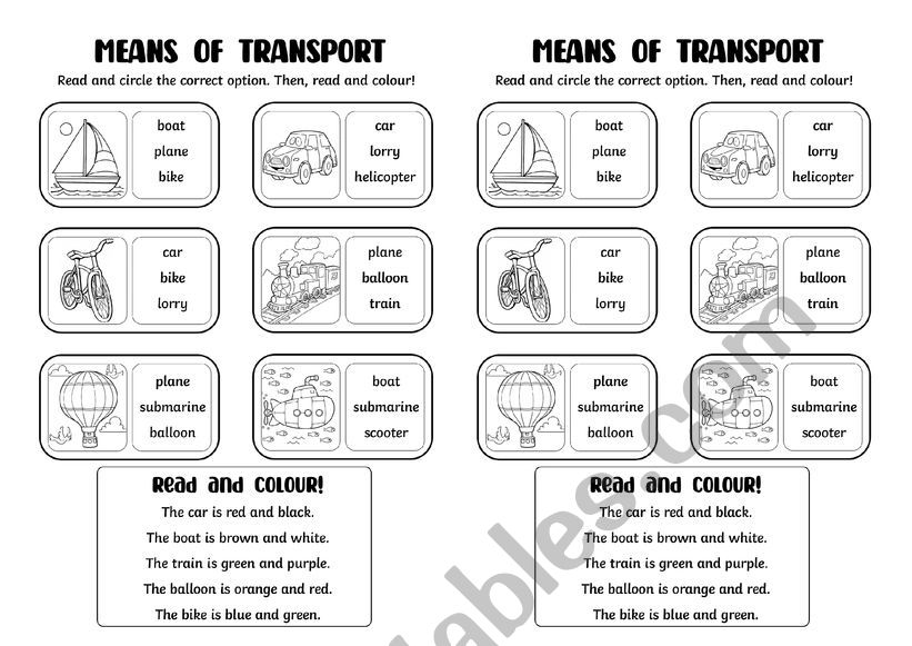 Means of transport activity worksheet