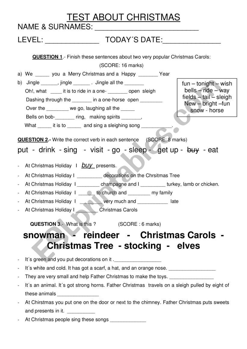 Test about Christmas things worksheet
