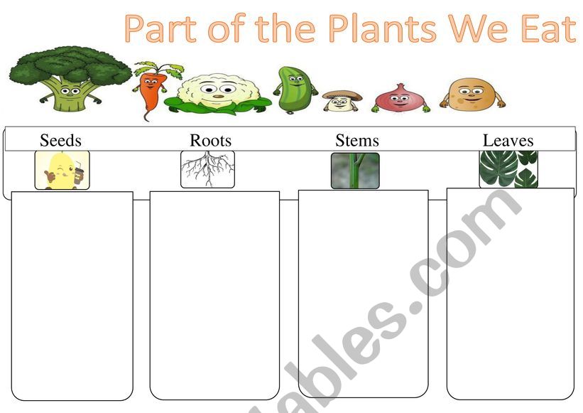 Part of the plant we eat worksheet