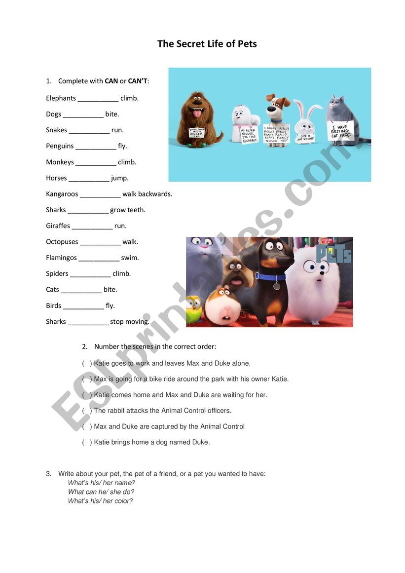 Secret Life of Pets Can Can�t worksheet