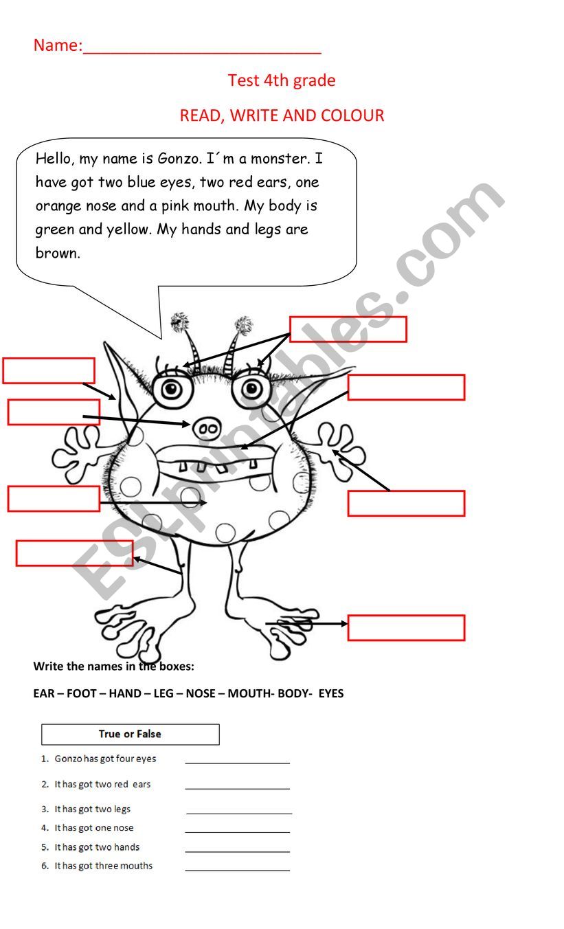 Parts of the body test worksheet