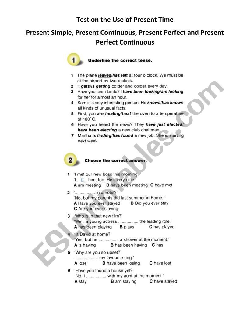 Test on Present Time worksheet