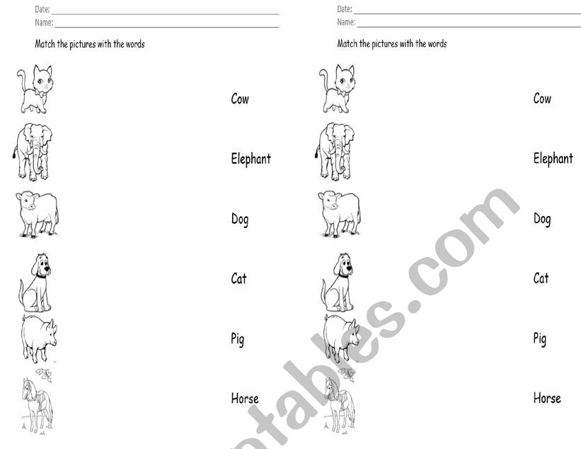 match the animals worksheet