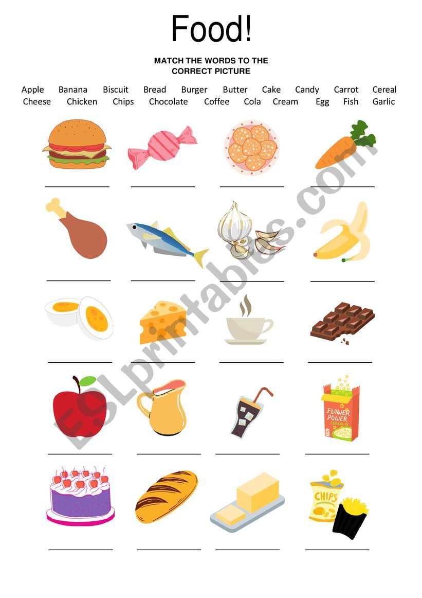 Food Vocabulary worksheet