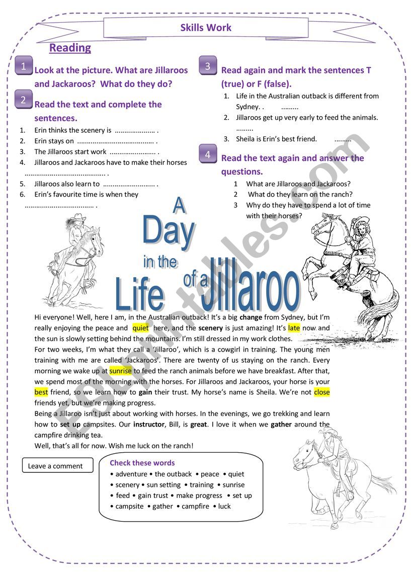 reading skills worksheet