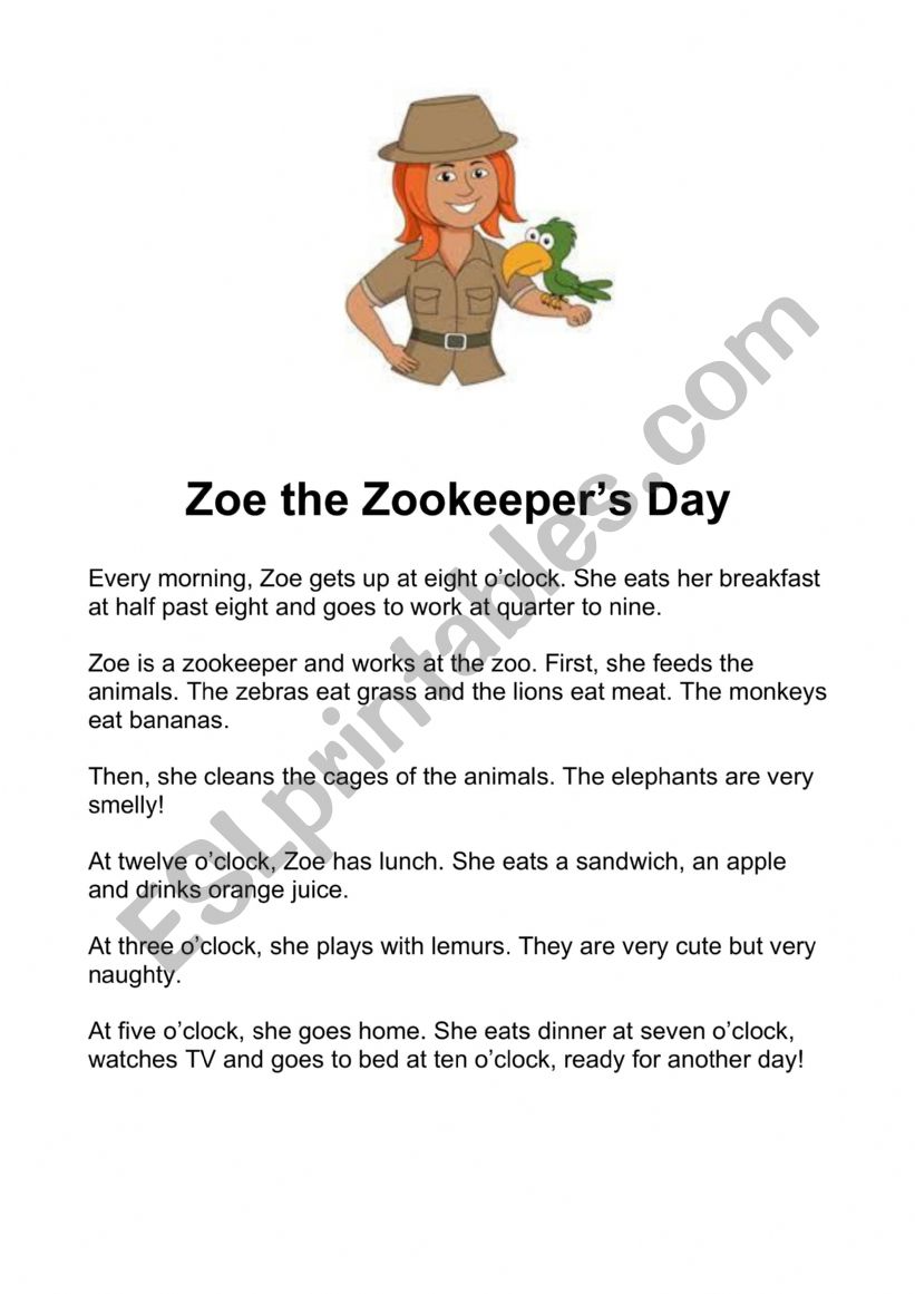 Zoo worksheet