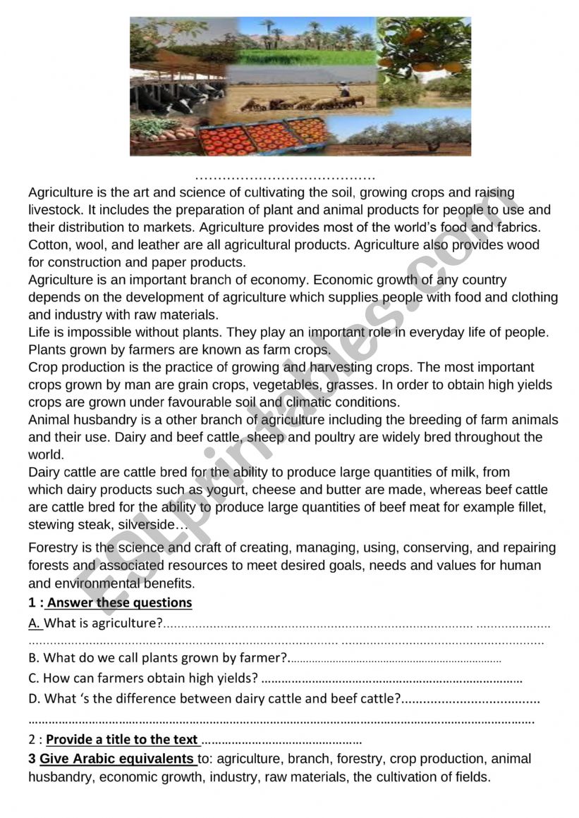 agricuture worksheet