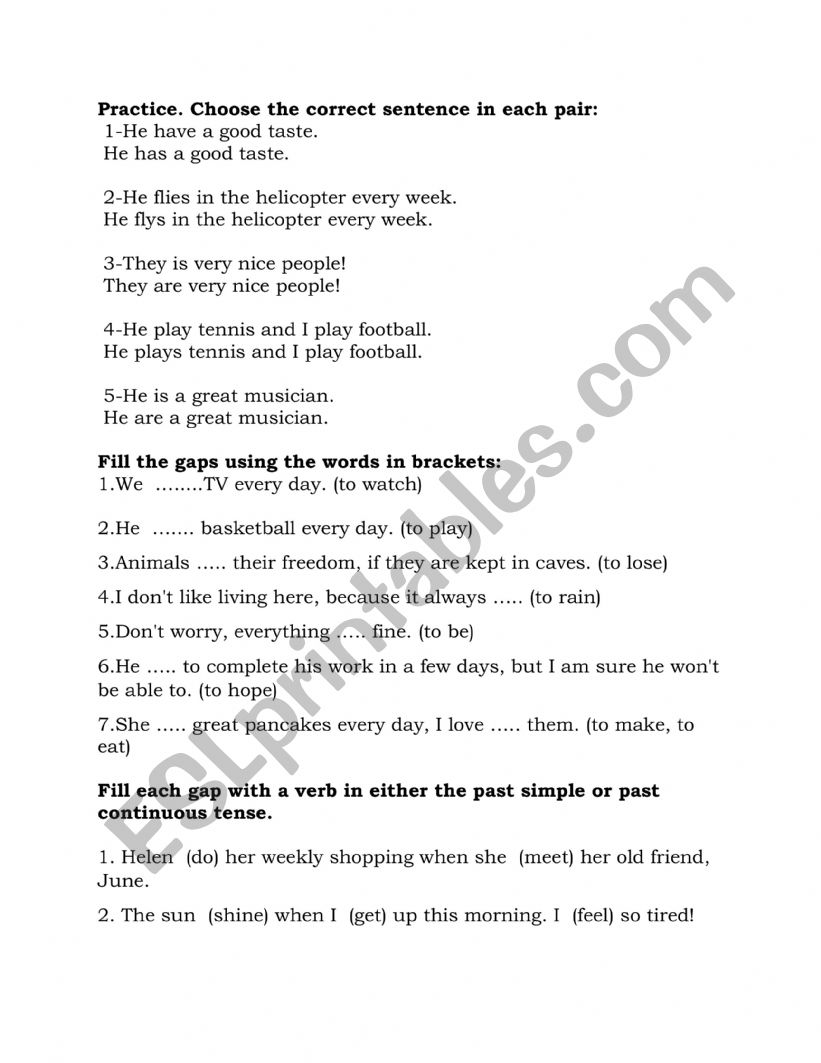 GRAMMAR EXERCISE  worksheet