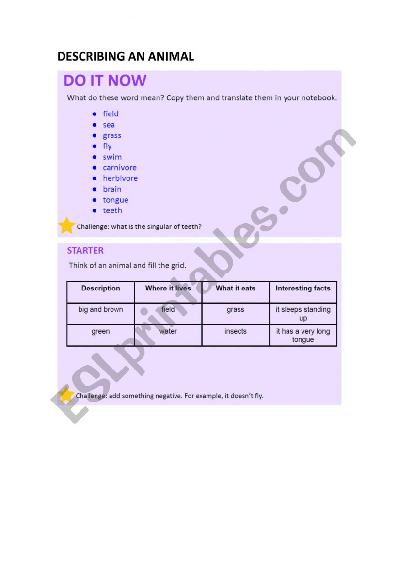 Describing animals worksheet