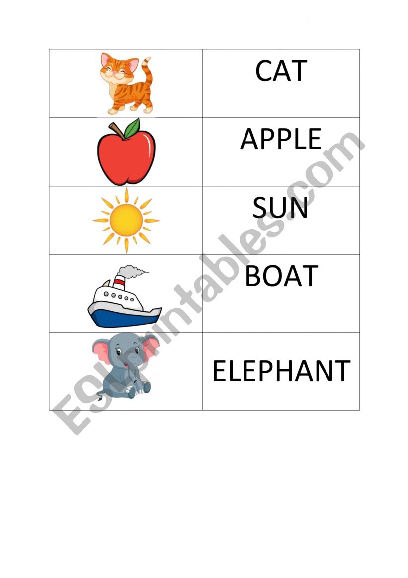 flash card worksheet