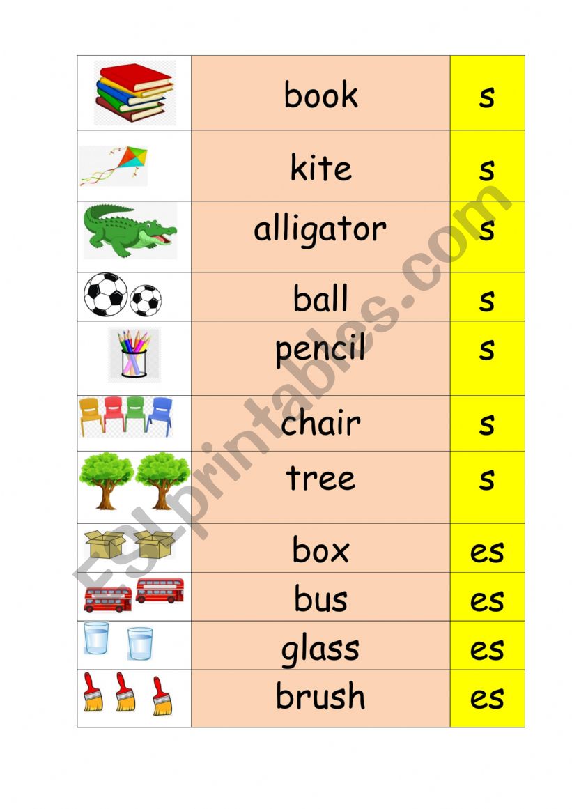 Singular and Plural worksheet